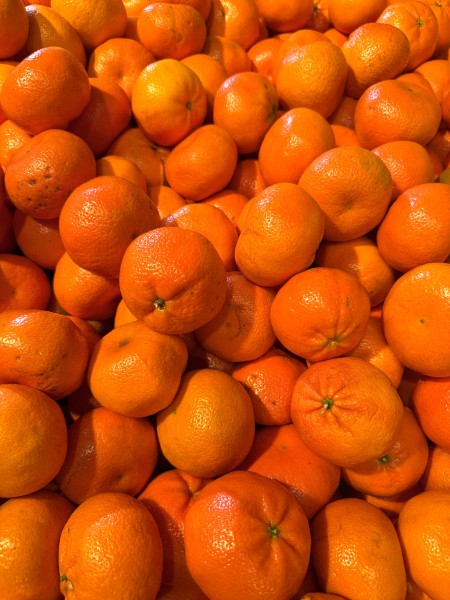 Mandarinen/Clementine