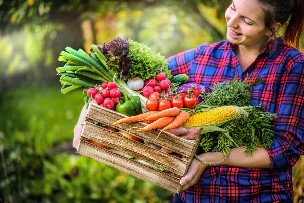 freshBox – Saisonales Obst & Gemüse wöchentlich frisch geliefert