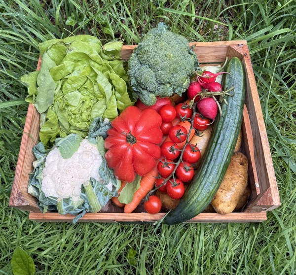 freshBox M- ca. 5,8 Kg ( 2-3 Personen)