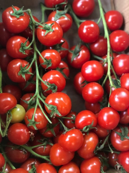 Tomaten Cherry