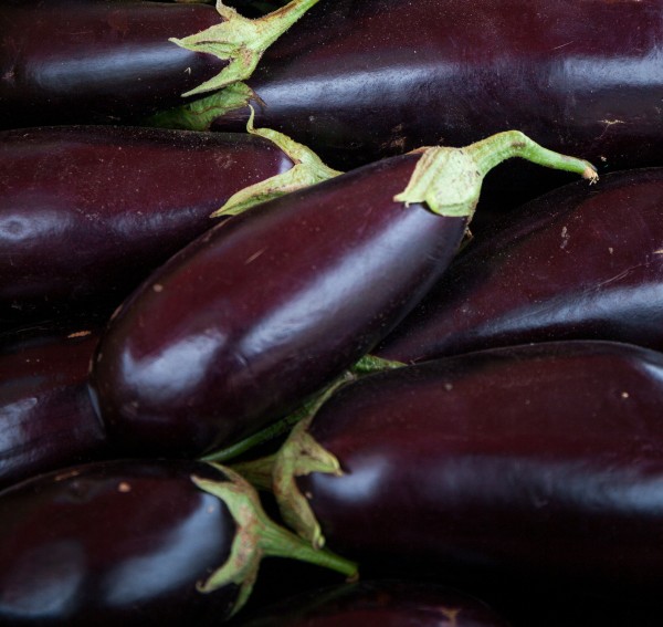 Aubergine