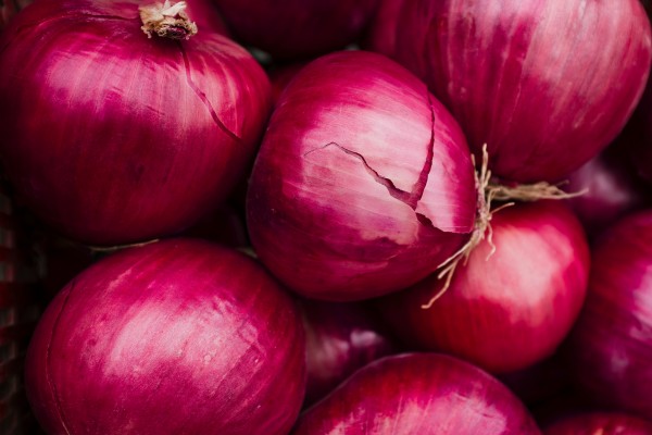 Zwiebel Haushalt rot