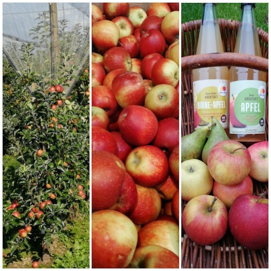 Collage-Apfel_Vorschlau-Blog