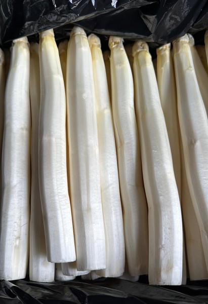 Spargel geschählt "Dick" 5Kg