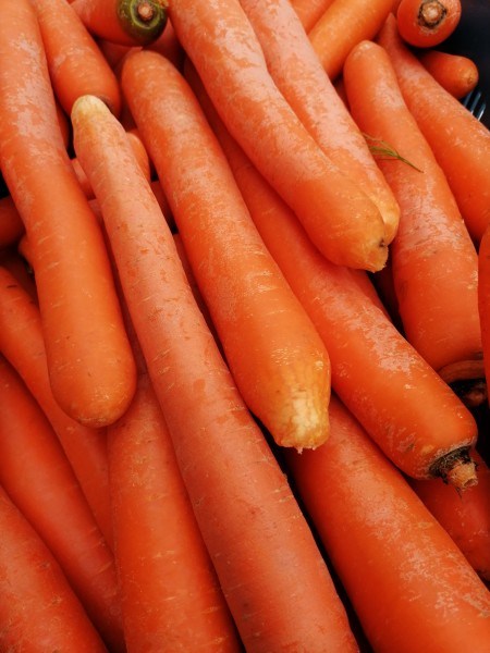 Möhren