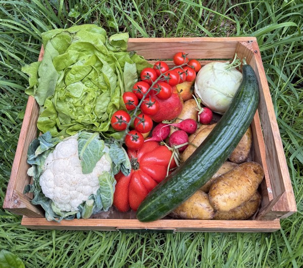 freshBox S -Singel´s - ca 4 kg (1-2 Personen)