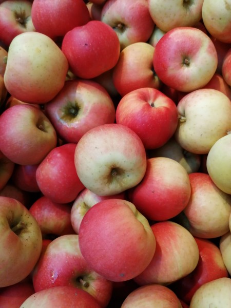 Äpfel Rubinette 1 Kg - COX Orange-Kinder Apfel